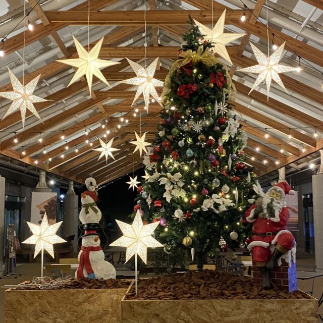栗スマスマーケットまであと５日🎅❗

道の駅かさまでは、
クリスマスシーズンを彩る装飾で
皆さまをお出迎えいたします🎄⛄

夕方からはライトアップも...!!✨

　
また、今週末12/7(土)・8(日)には
笠間観光大使 安達勇人さんプロデュースによる
「道の駅かさま 栗スマスマーケット」も開催🌰

クリスマスにピッタリな手作り品や軽食、
キッチンカーなど多数出店予定です🤤❕

　
ぜひ、道の駅かさまにお越しくださいませ🙌

　
　
#道の駅かさま #道の駅 #茨城県 #茨城 #いばらき #笠間市 #笠間 #おでかけ #茨城イベント #イベント #冬イベント #クリスマス #クリスマスマーケット #クリスマスイベント #クリスマスツリー #ライトアップ